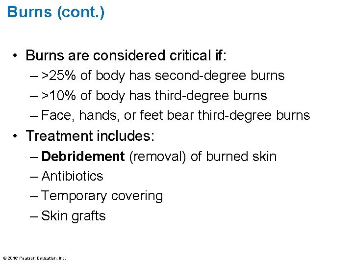 Burns (cont. ) • Burns are considered critical if: – >25% of body has