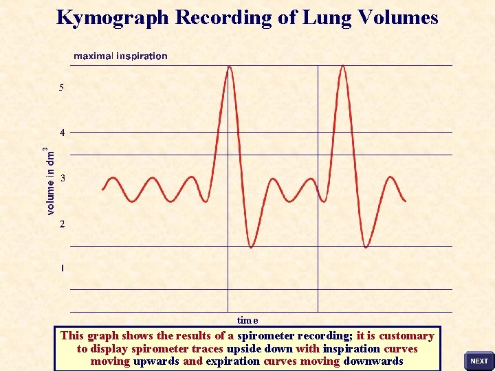 Kymograph Recording of Lung Volumes time This graph shows the results of a spirometer