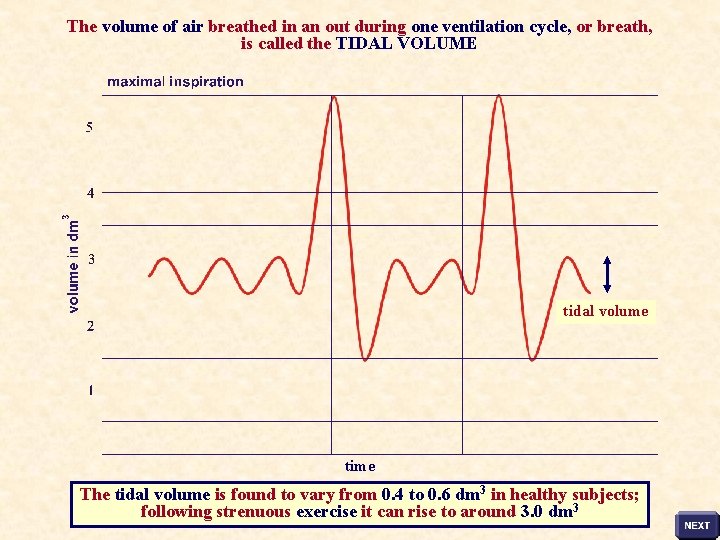 The volume of air breathed in an out during one ventilation cycle, or breath,