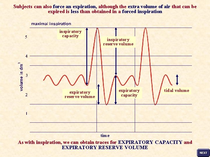 Subjects can also force an expiration, although the extra volume of air that can