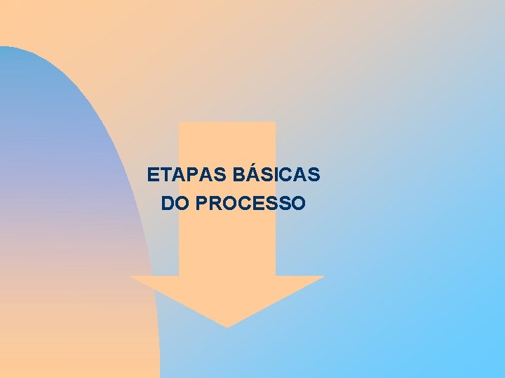 ETAPAS BÁSICAS DO PROCESSO 