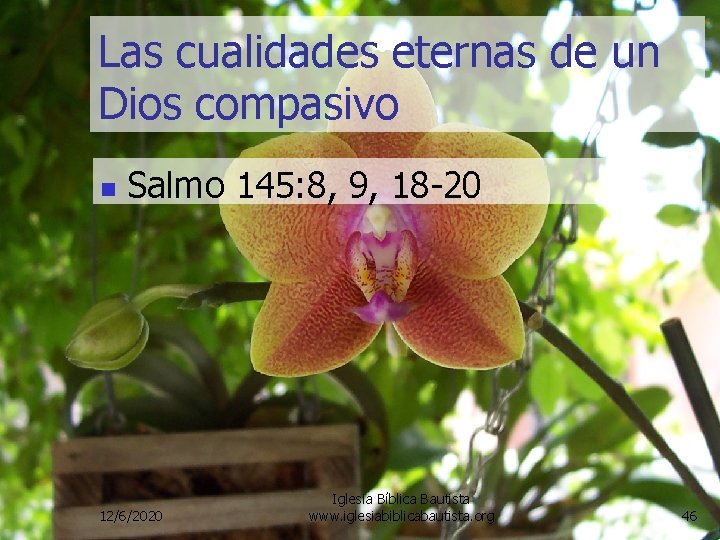 Las cualidades eternas de un Dios compasivo n Salmo 145: 8, 9, 18 -20