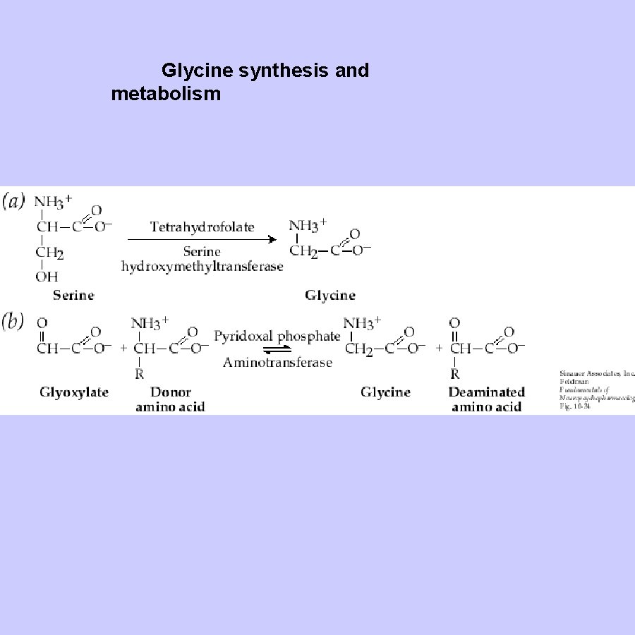 Glycine synthesis and metabolism 