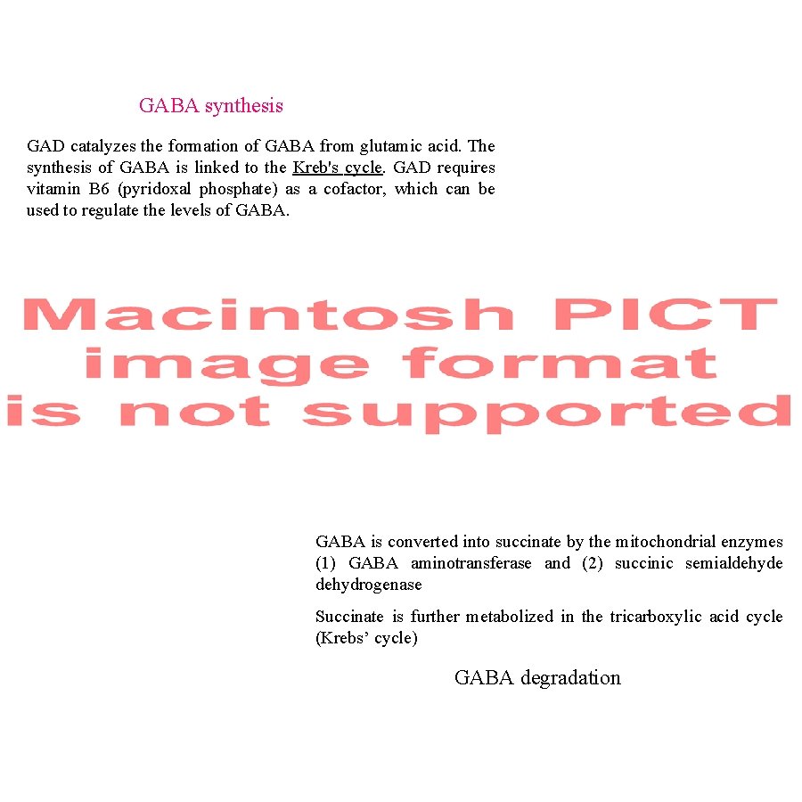 GABA synthesis GAD catalyzes the formation of GABA from glutamic acid. The synthesis of