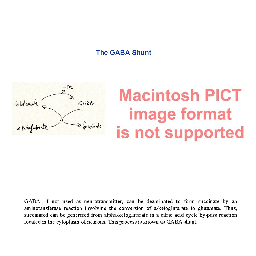 The GABA Shunt GABA, if not used as neurotransmitter, can be deaminated to form