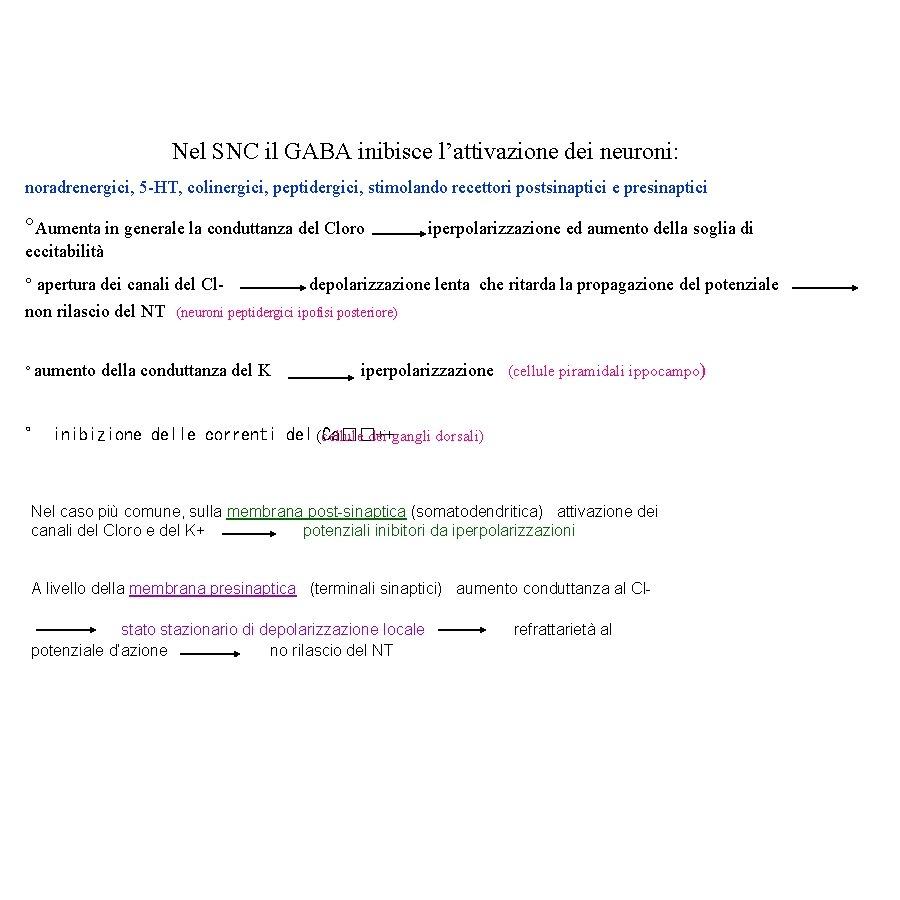 Nel SNC il GABA inibisce l’attivazione dei neuroni: noradrenergici, 5 -HT, colinergici, peptidergici, stimolando