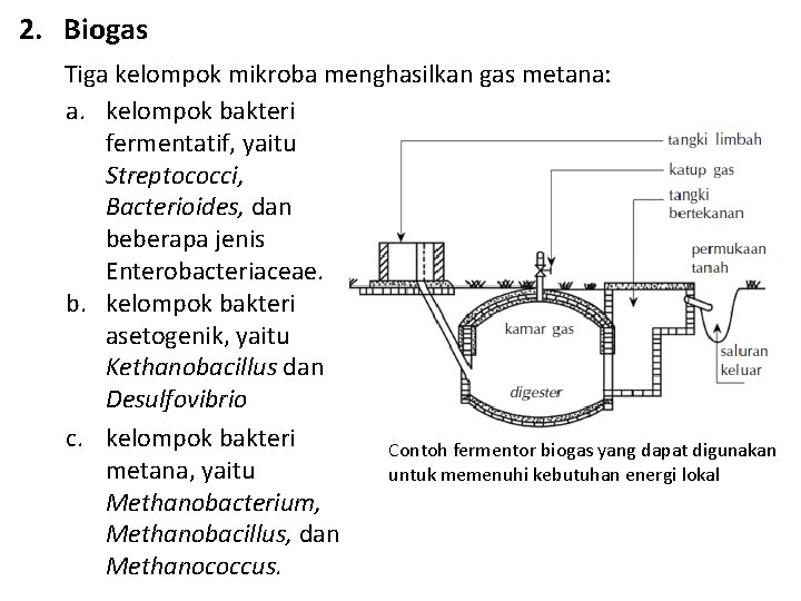 2. Biogas Tiga kelompok mikroba menghasilkan gas metana: a. kelompok bakteri fermentatif, yaitu Streptococci,