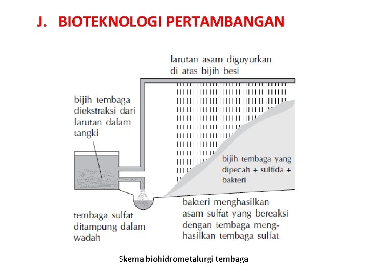 J. BIOTEKNOLOGI PERTAMBANGAN Skema biohidrometalurgi tembaga 