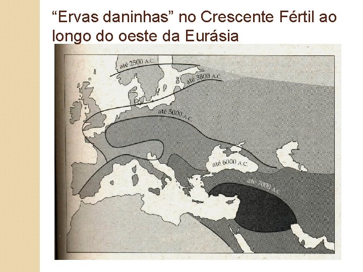 “Ervas daninhas” no Crescente Fértil ao longo do oeste da Eurásia 