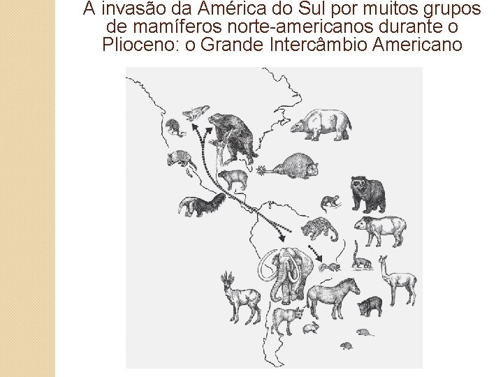 A invasão da América do Sul por muitos grupos de mamíferos norte-americanos durante o