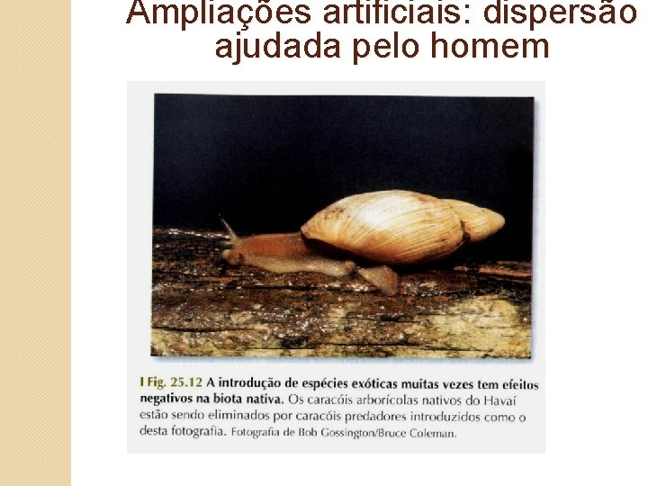 Ampliações artificiais: dispersão ajudada pelo homem 