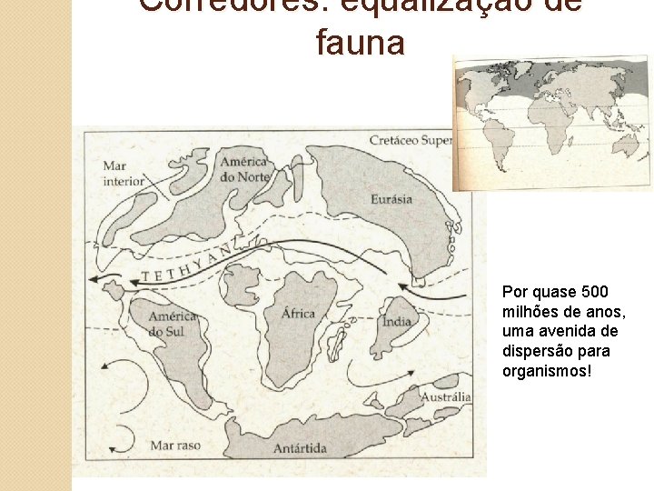 Corredores: equalização de fauna Por quase 500 milhões de anos, uma avenida de dispersão