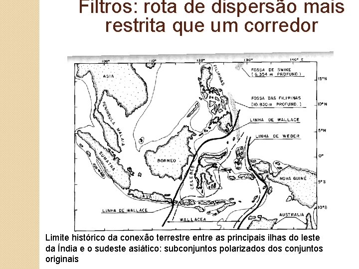 Filtros: rota de dispersão mais restrita que um corredor Limite histórico da conexão terrestre