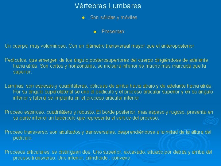 Vértebras Lumbares Son sólidas y móviles Presentan: Un cuerpo: muy voluminoso. Con un diámetro