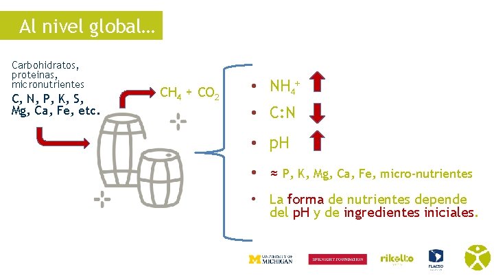 Al nivel global… Carbohidratos, proteinas, micronutrientes C, N, P, K, S, Mg, Ca, Fe,