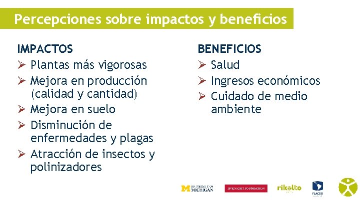 Percepciones sobre impactos y beneficios IMPACTOS Ø Plantas más vigorosas Ø Mejora en producción