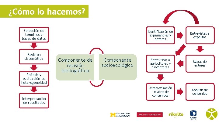 ¿Cómo lo hacemos? Selección de términos y bases de datos Revisión sistemática Análisis y