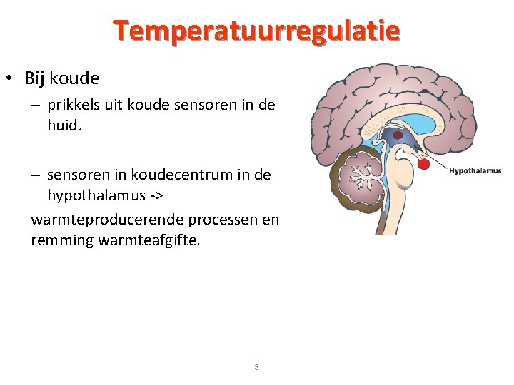 Temperatuurregulatie • Bij koude – prikkels uit koude sensoren in de huid. – sensoren