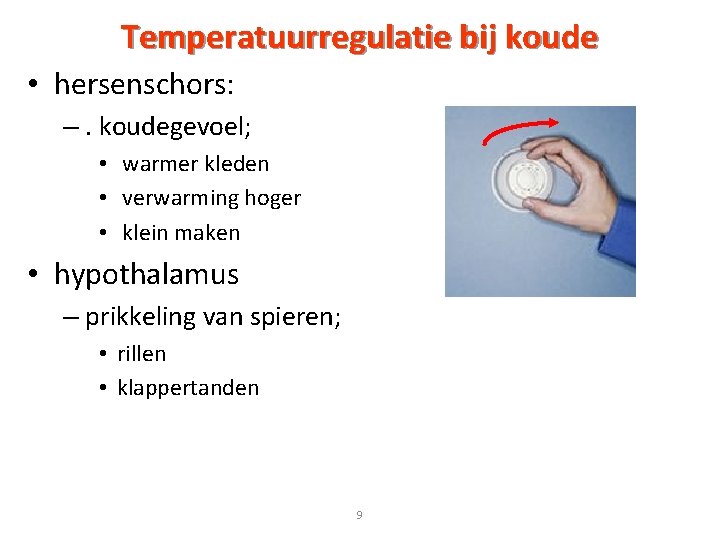 Temperatuurregulatie bij koude • hersenschors: –. koudegevoel; • warmer kleden • verwarming hoger • Temperatuurregulatie bij koude • hersenschors: –. koudegevoel; • warmer kleden • verwarming hoger •