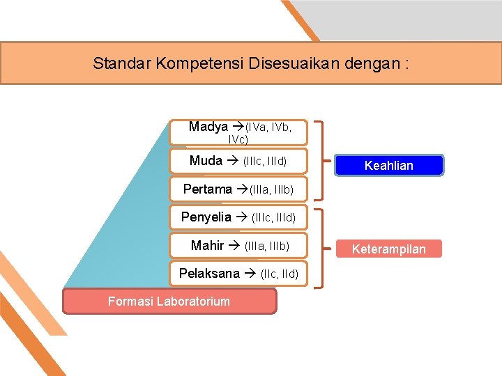 Standar Kompetensi Disesuaikan dengan : Madya (IVa, IVb, IVc) Muda (IIIc, IIId) Keahlian Pertama