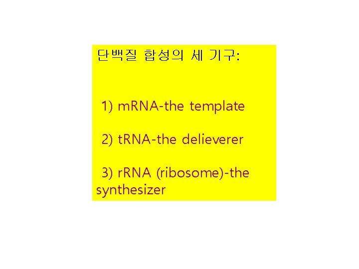 단백질 합성의 세 기구: 1) m. RNA-the template 2) t. RNA-the delieverer 3) r.