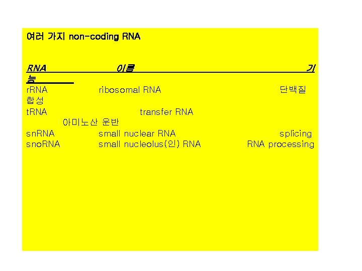 여러 가지 non-coding RNA 능 이름 기 r. RNA ribosomal RNA 단백질 합성 t.