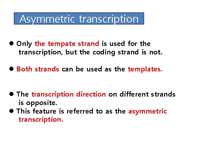 Asymmetric transcription l Only the tempate strand is used for the transcription, but the