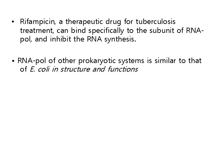  • Rifampicin, a therapeutic drug for tuberculosis treatment, can bind specifically to the