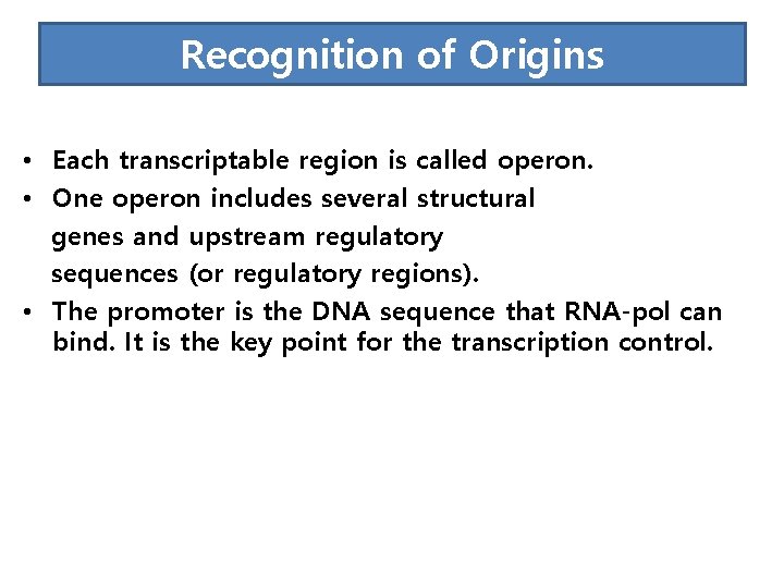 Recognition of Origins • Each transcriptable region is called operon. • One operon includes