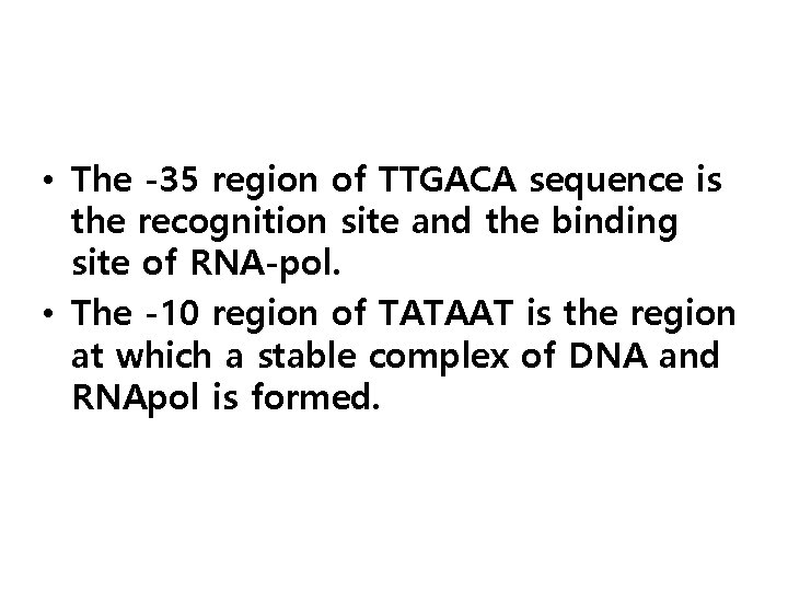  • The -35 region of TTGACA sequence is the recognition site and the