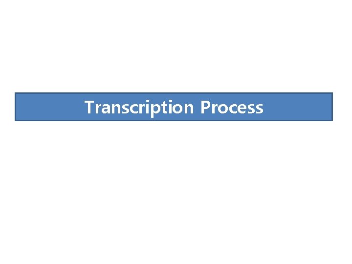 Transcription Process 