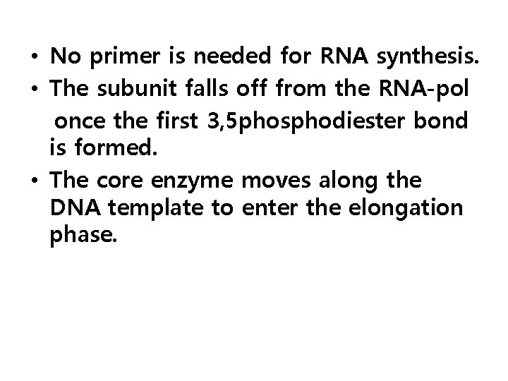  • No primer is needed for RNA synthesis. • The subunit falls off