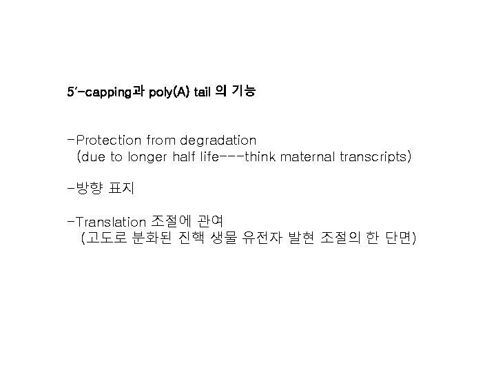 5’-capping과 poly(A) tail 의 기능 -Protection from degradation (due to longer half life---think maternal