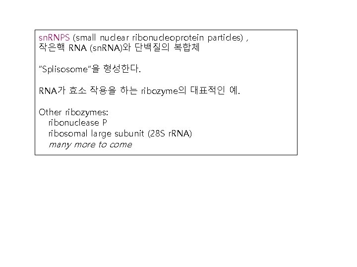 sn. RNPS (small nuclear ribonucleoprotein particles) , 작은핵 RNA (sn. RNA)와 단백질의 복합체 “Splisosome”을