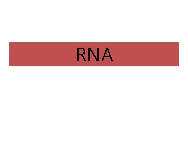 RNA 