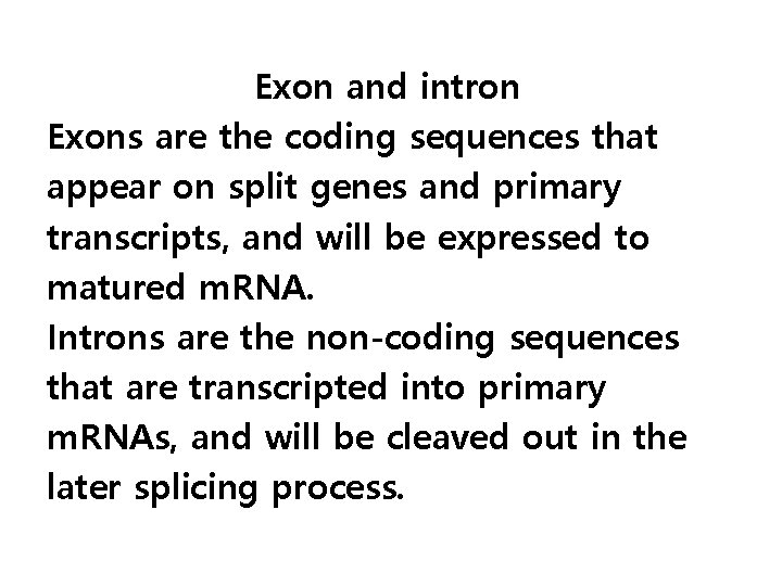 Exon and intron Exons are the coding sequences that appear on split genes and