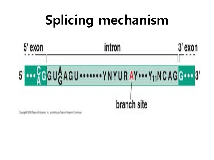 Splicing mechanism 