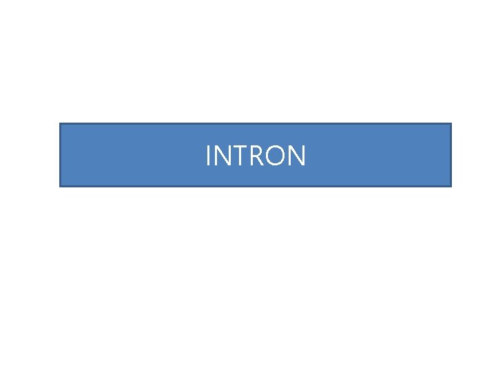 INTRON 