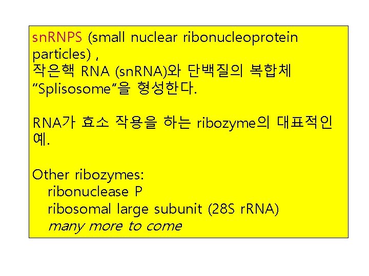 sn. RNPS (small nuclear ribonucleoprotein particles) , 작은핵 RNA (sn. RNA)와 단백질의 복합체 “Splisosome”을