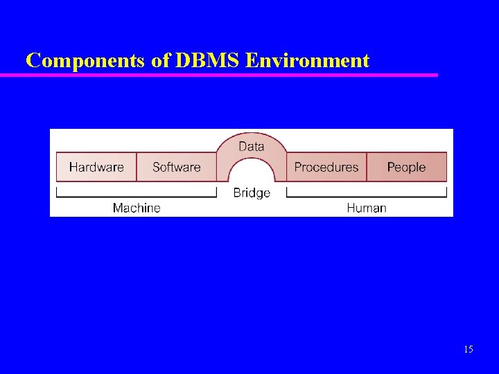 Components of DBMS Environment 15 