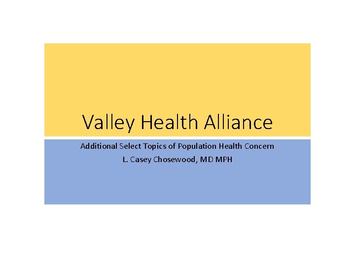Valley Health Alliance Additional Select Topics of Population Health Concern L. Casey Chosewood, MD