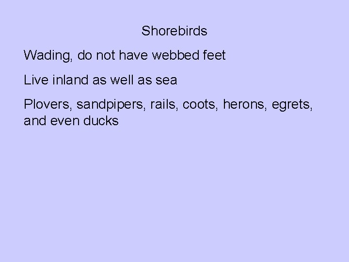 Shorebirds Wading, do not have webbed feet Live inland as well as sea Plovers,