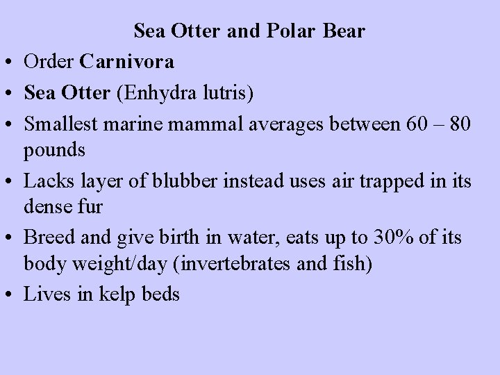  • • • Sea Otter and Polar Bear Order Carnivora Sea Otter (Enhydra