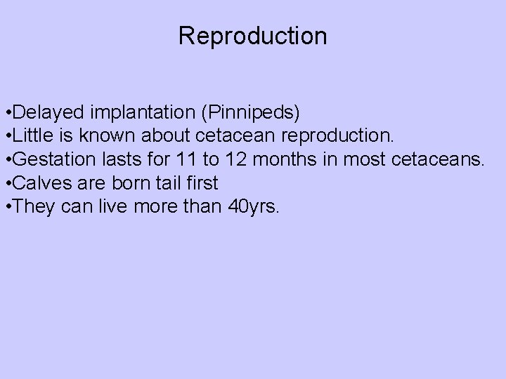 Reproduction • Delayed implantation (Pinnipeds) • Little is known about cetacean reproduction. • Gestation