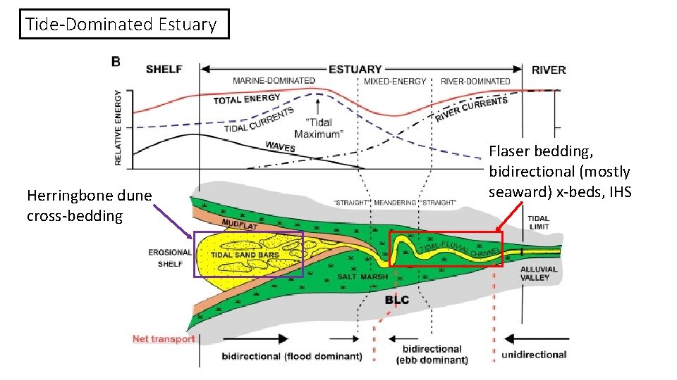 Tide-Dominated Estuary Herringbone dune cross-bedding Flaser bedding, bidirectional (mostly seaward) x-beds, IHS 