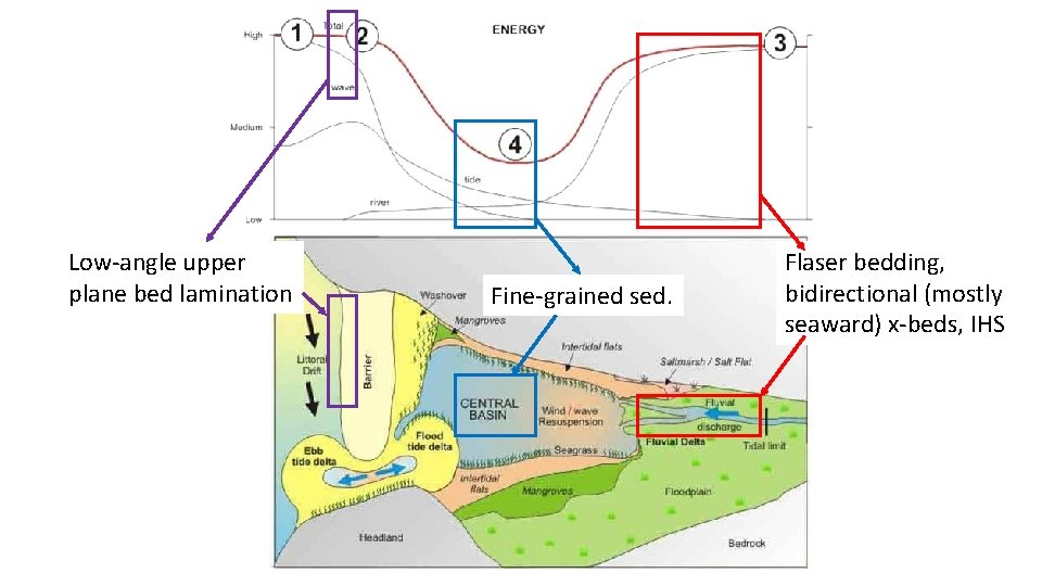 Low-angle upper plane bed lamination Fine-grained sed. Flaser bedding, bidirectional (mostly seaward) x-beds, IHS