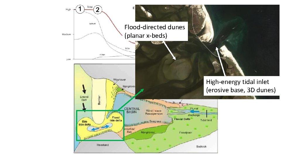 Flood-directed dunes (planar x-beds) High-energy tidal inlet (erosive base, 3 D dunes) 