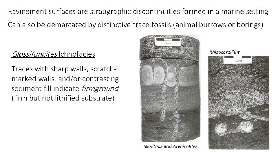 Ravinement surfaces are stratigraphic discontinuities formed in a marine setting Can also be demarcated