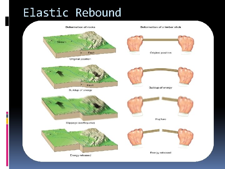 Elastic Rebound 