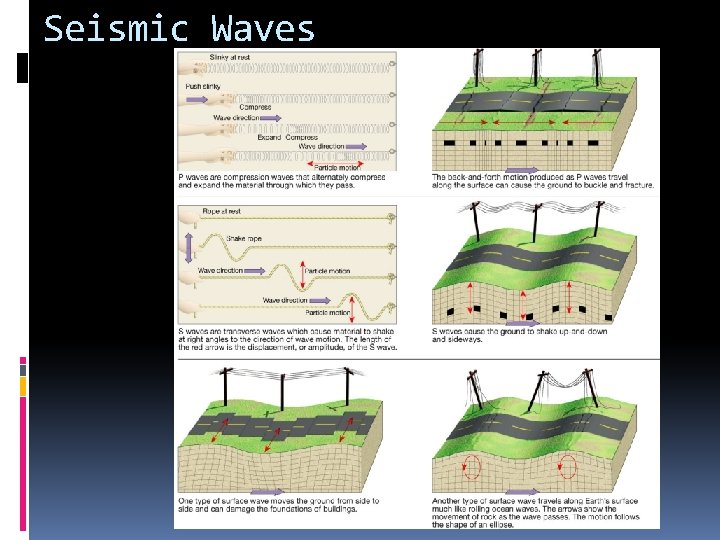 Seismic Waves 